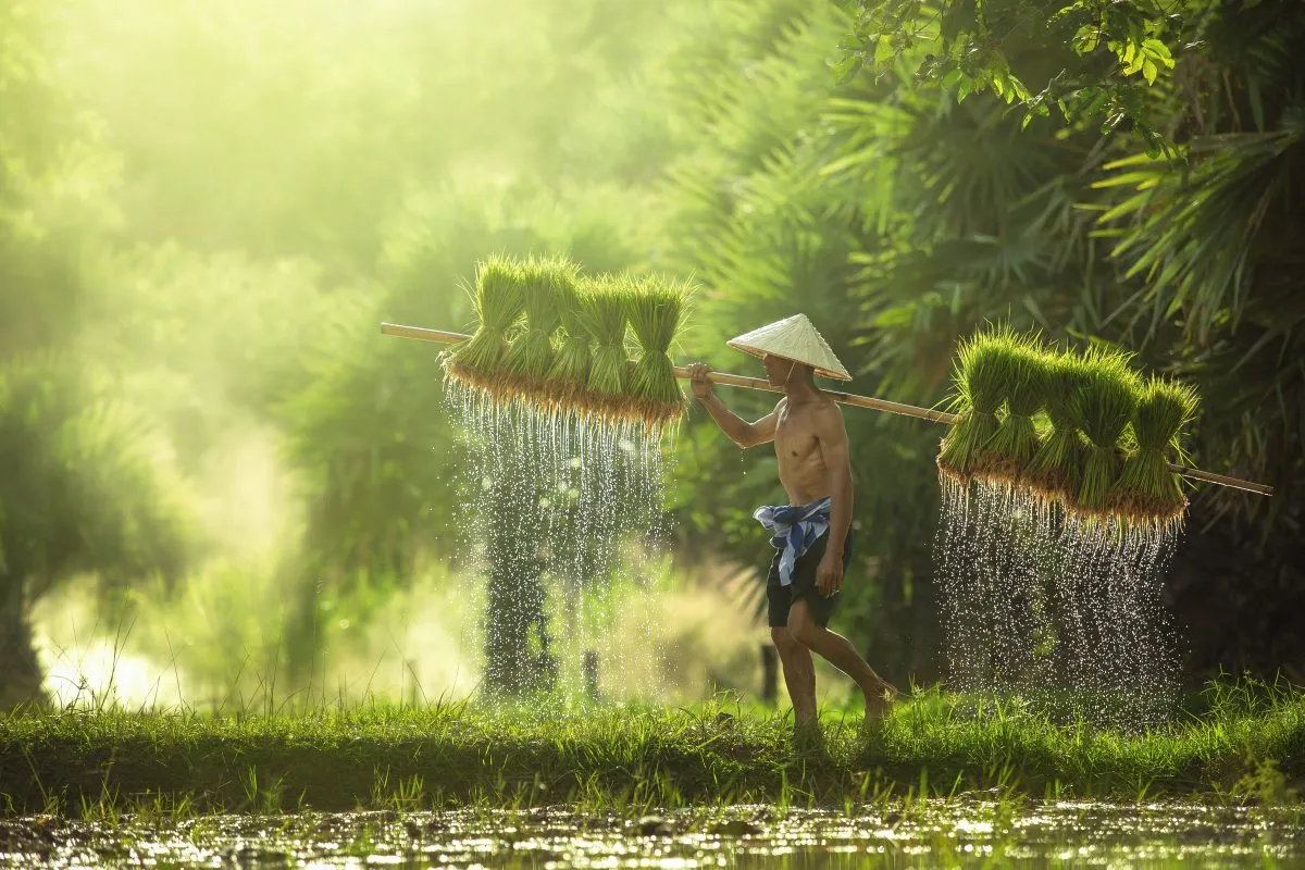 Cambodia Green Season Tourism Video Contest gallery photo 4 - Bamnang