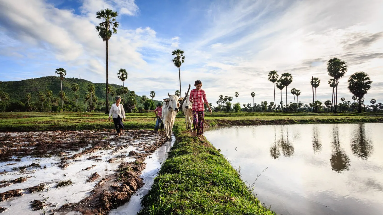 Cambodia Green Season Tourism Video Contest gallery photo 5 - Bamnang