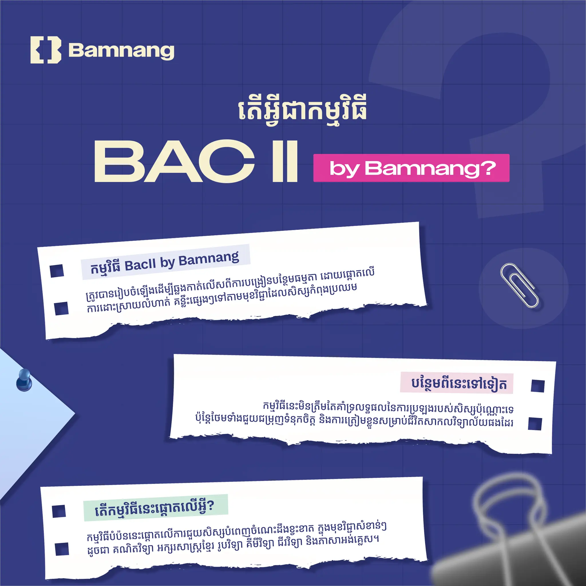 BacII by Bamnang gallery photo 1 - Bamnang